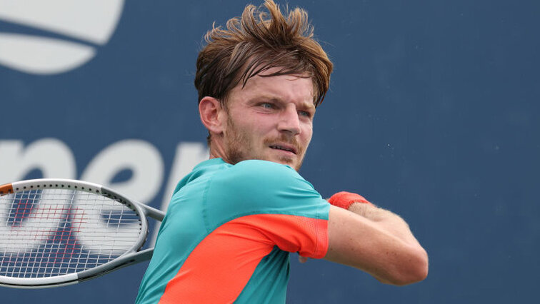David Goffin has made a strong comeback