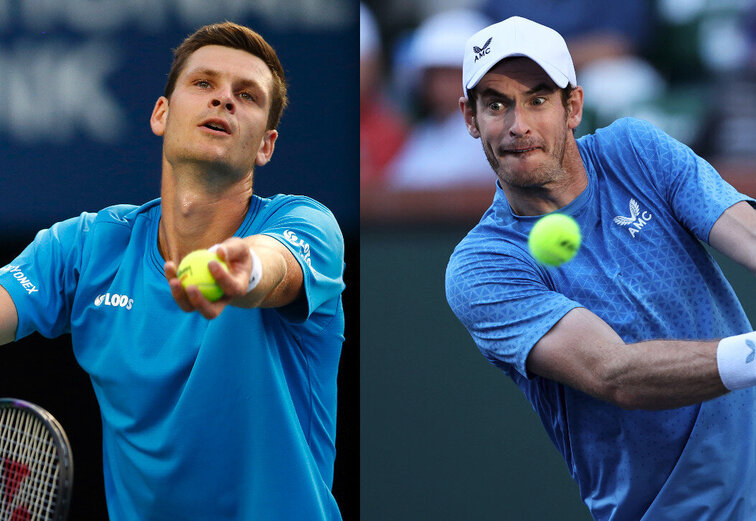 Hubert Hurkacz, Andy Murray