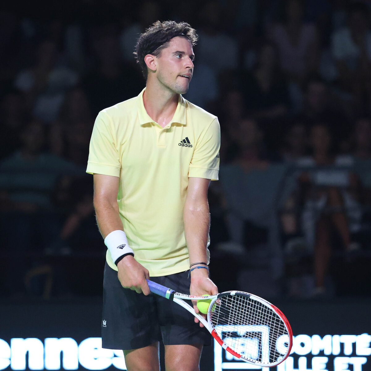 ATP-Weltrangliste Dominic Thiem zurück in Top-200, Dennis Novak mit großem Sprung · tennisnet
