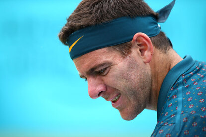 Juan Martin del Potro Juan Martin del Potro