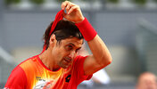 David Ferrer in Madrid