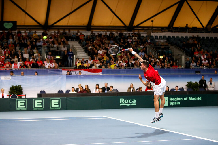 Dennis Novak beats Pablo Cuevas. Austria qualified for Davis Cup finals.
