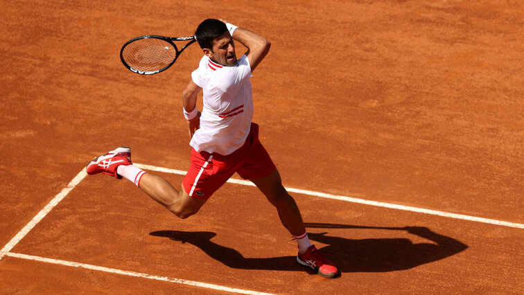 Ein sehr gemütlicher Tag im Büro für Nole A very comfortable day in the office for Nole