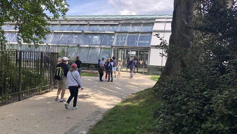 Ein Court im Grünen