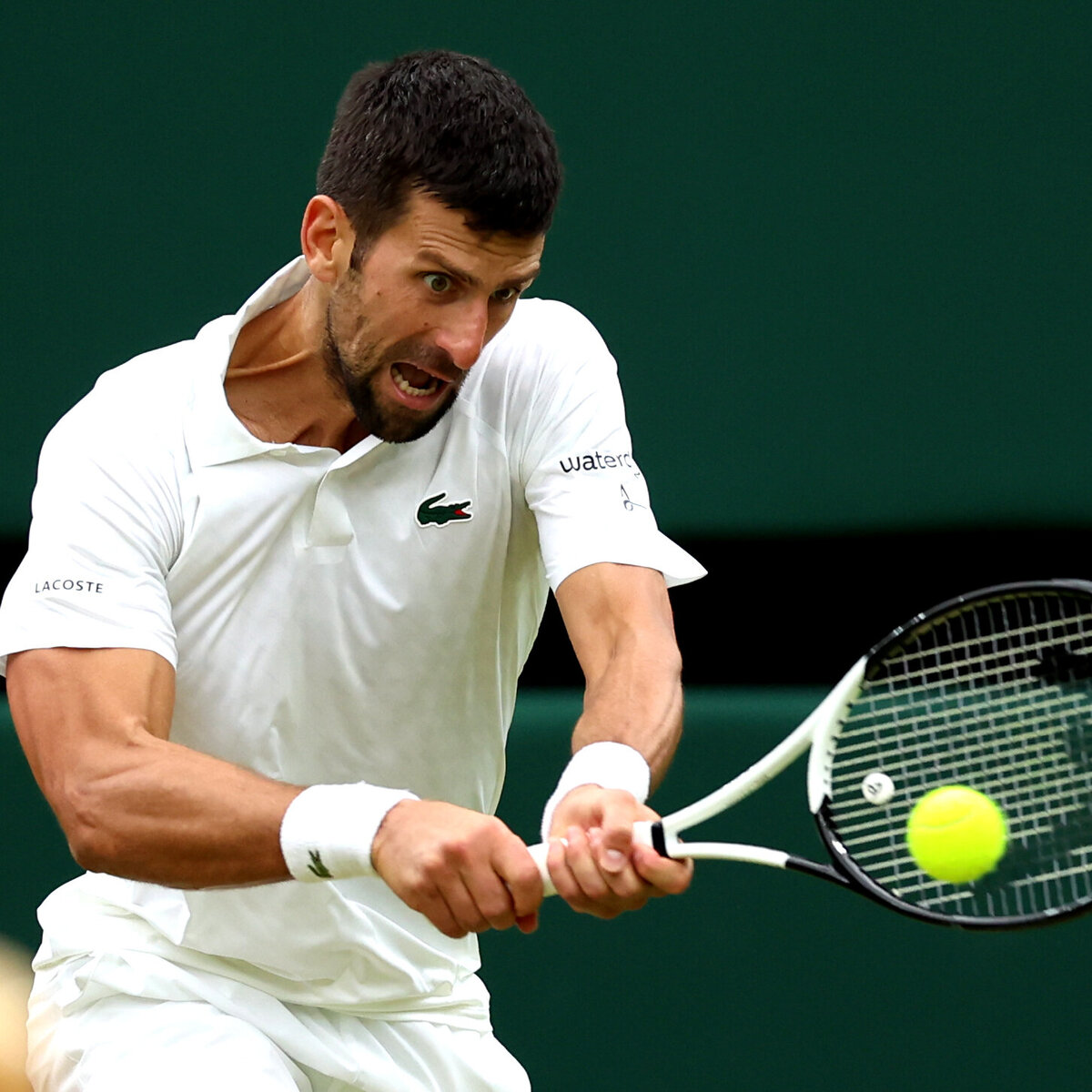 Finale! Novak Djokovic greift nach seinem achten Wimbledon-Titel · tennisnet