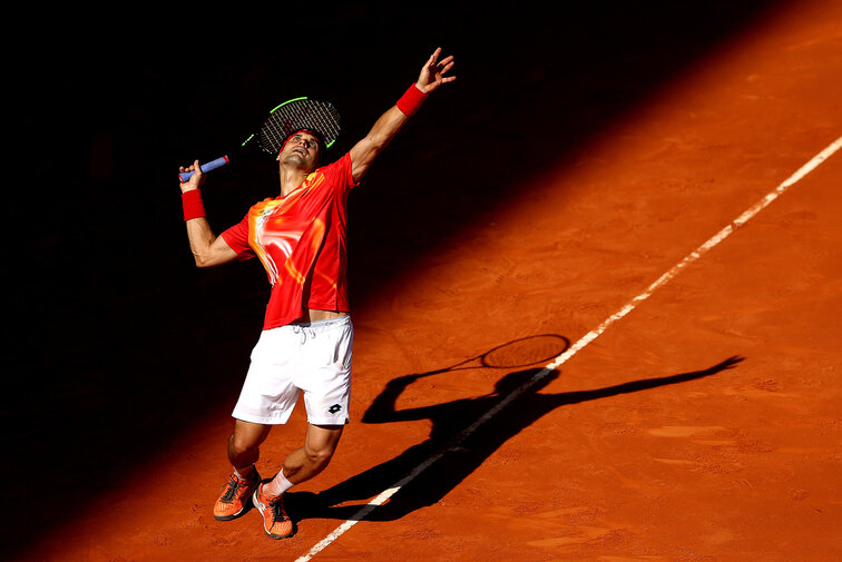 David Ferrer