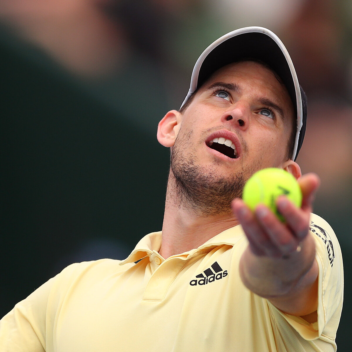 Australian Open Auslosung Dominic Thiem gleich gegen Rublev, Zverev zieht Qualifikanten · tennisnet