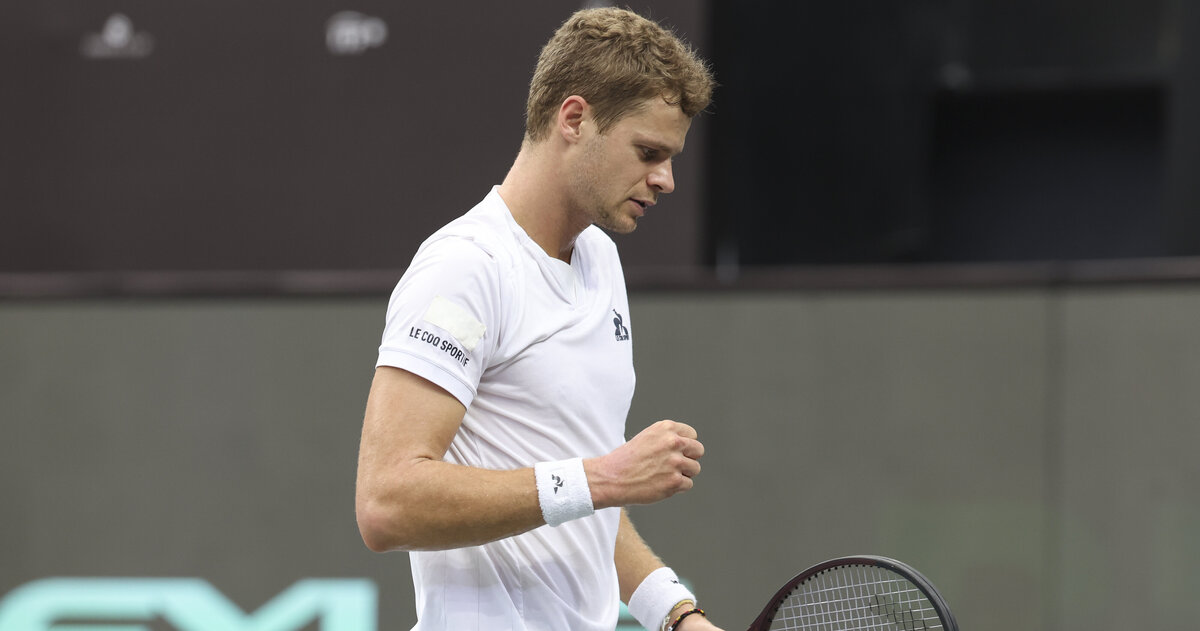 Hanfmann Coach Davis Cup: Deutschland kurz vor dem Finaleinzug- Hanfmann bringt ...