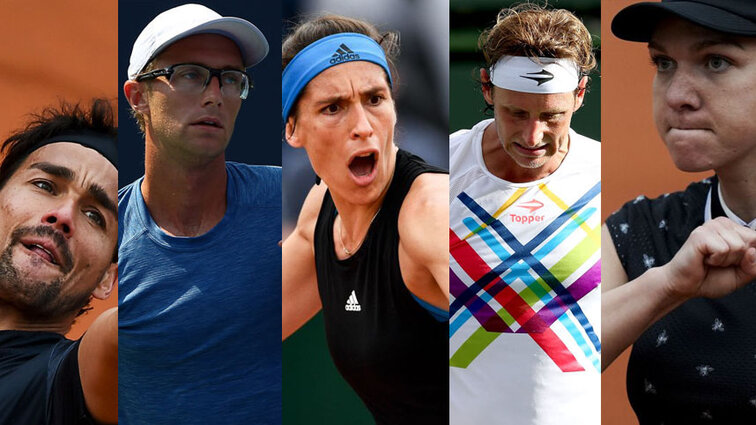 Murderers´ Row: Fabio, Peter, Andrea, David, Simona Murderers´ Row: Fabio, Peter, Andrea, David, Simona