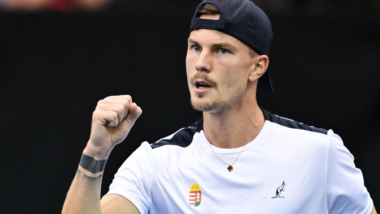 Marton Fucsovics hat in Winston-Salem den Titel geholt