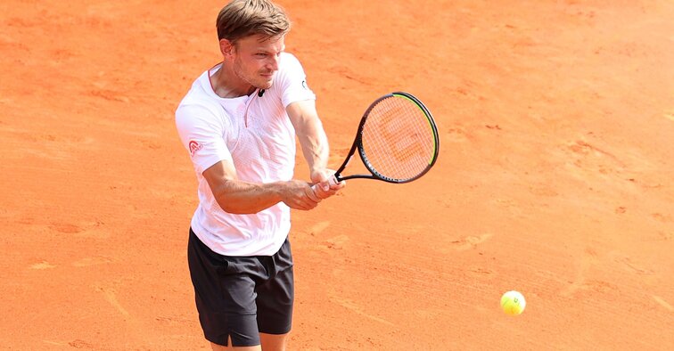 David Goffin