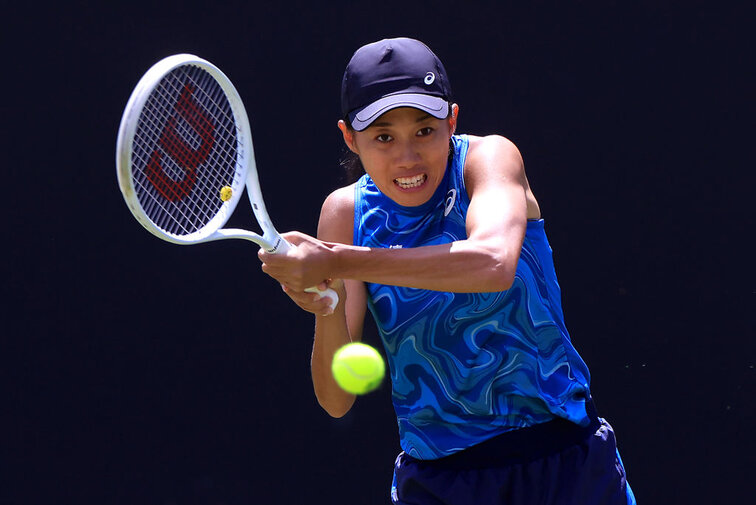 Zhang Shuai musste in Budapest aufgeben Zhang Shuai musste in Budapest aufgeben