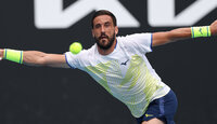 Damir Dzumhur ist als Heißsporn bekannt.