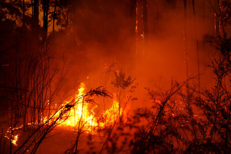 The Canberra Challenger tournament has to move due to the bushfires