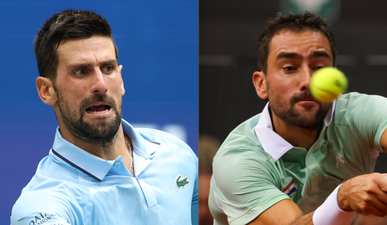 Novak Djokovic, Marin Cilic